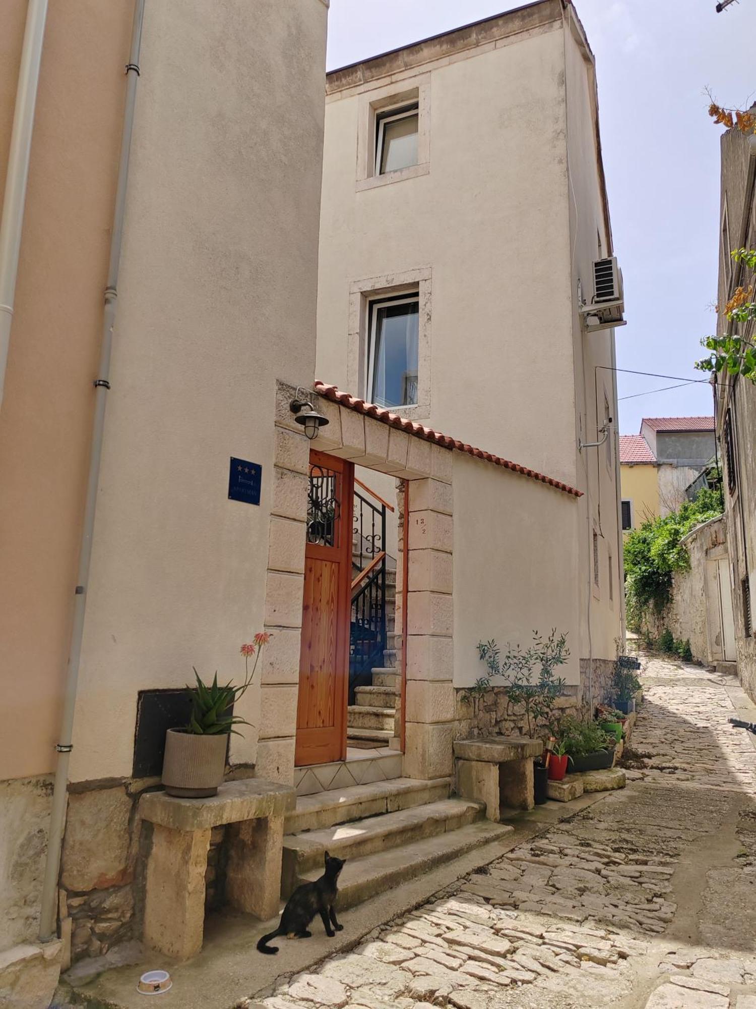 Apartments Ani Vela Luka Exteriör bild
